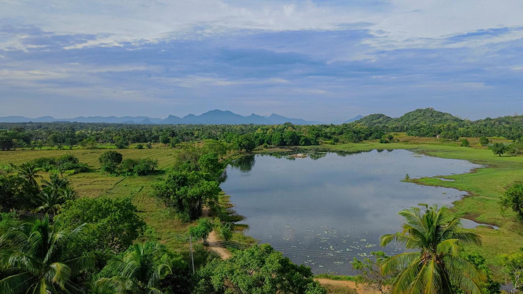 Kassapa Lions Rock Hotel Sigiriya Exterior photo