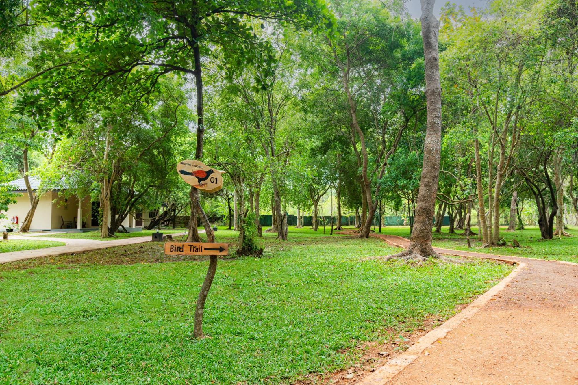 Kassapa Lions Rock Hotel Sigiriya Exterior photo
